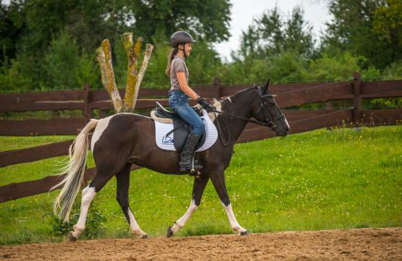 Reiturlaub auf der Mecklenburgische Seenplatte - Reiterin auf Pferd