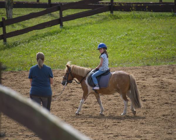Kind bekommt Reitstunde auf der Koppel