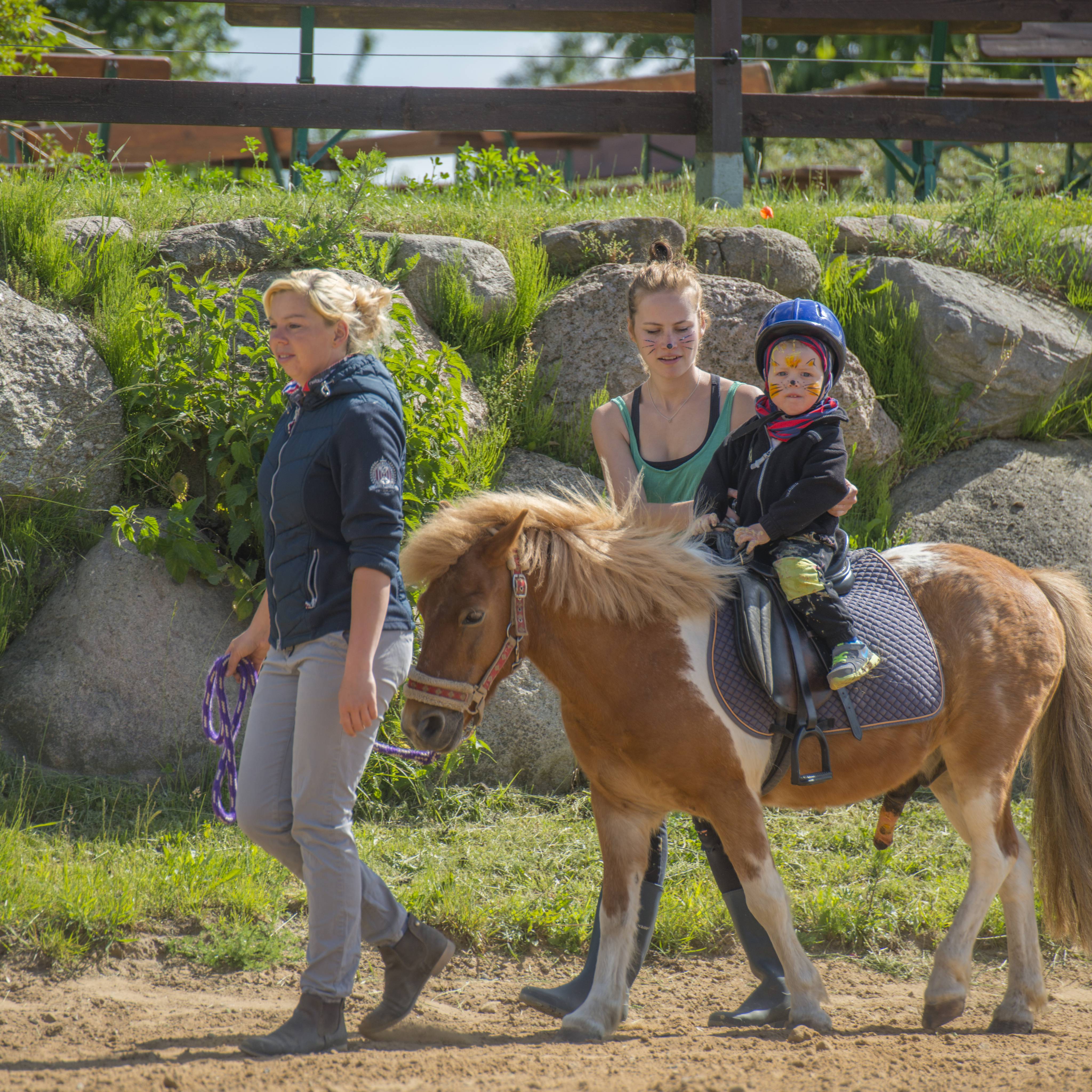 Baby sitzt auf Pony und wird geführt