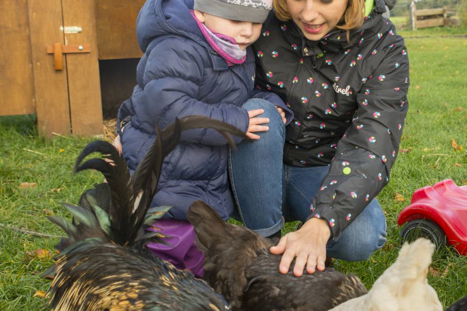Mutter und Kind streicheln Hühner