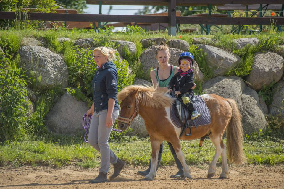 Baby sitzt auf Pony und wird geführt