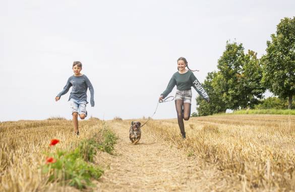 Kinder gehen mit Hund spazieren