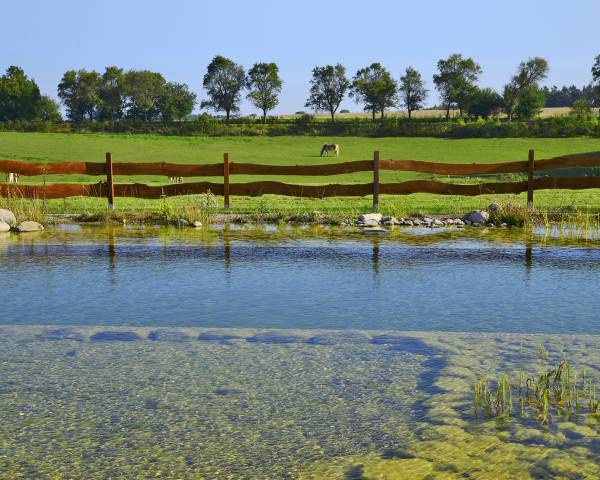 Naturbadeteich des Golchener Hof