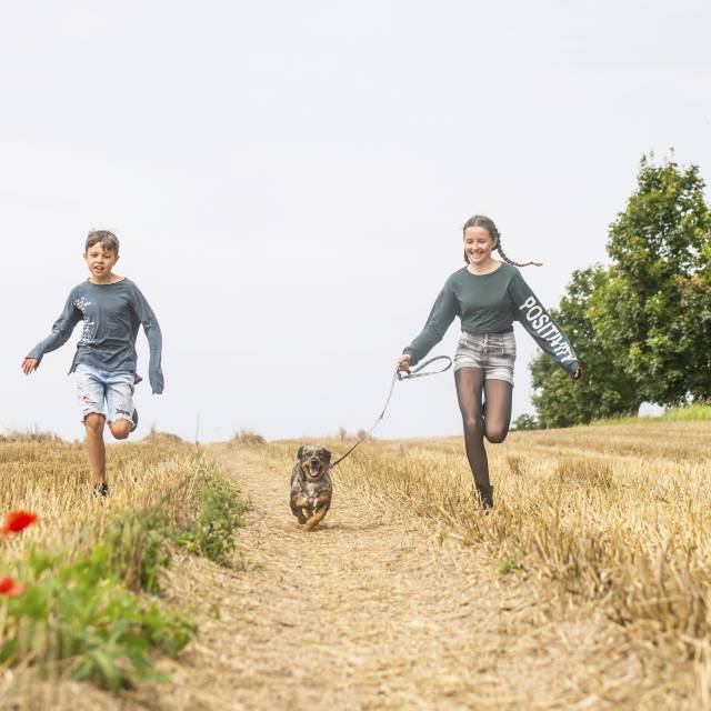 Kinder gehen mit Hund spazieren