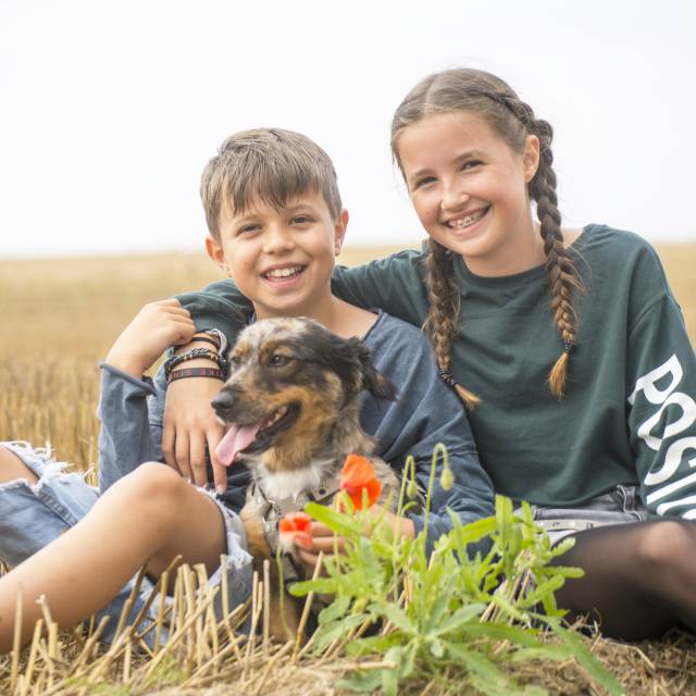 Kinder kuscheln mit Hund im Getreidefeld
