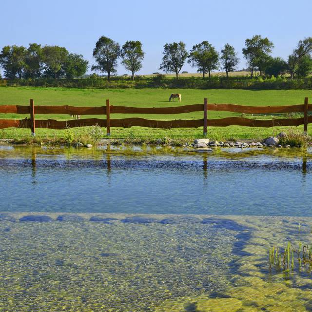 Naturbadeteich des Golchener Hof