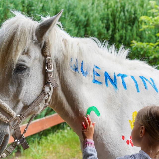 Pferd wird bei einer Malaktion mit Fingerfarbe bemalt