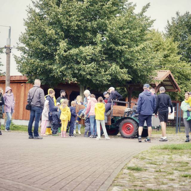 Traktor fahren am Golchnerhof