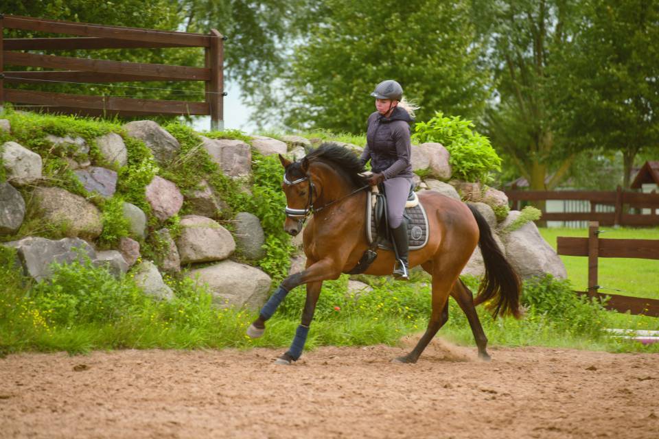 Mädchen reitet auf Pferd