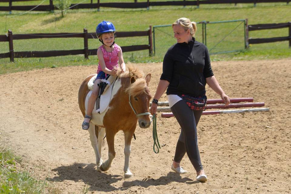 Our riding stable for young and old: Horses, nature and unforgettable experiences - Golchener Hof