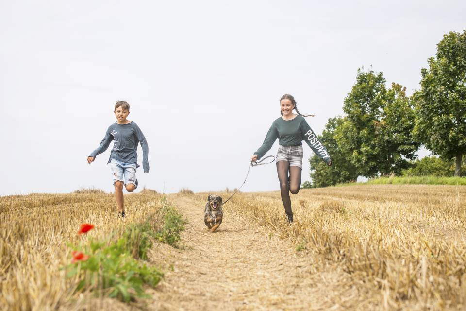 Kinder gehen mit Hund spazieren