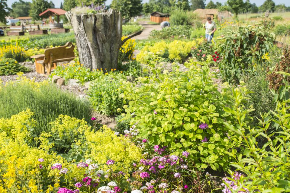 Panoramablick über den Hoteleigenen Garten