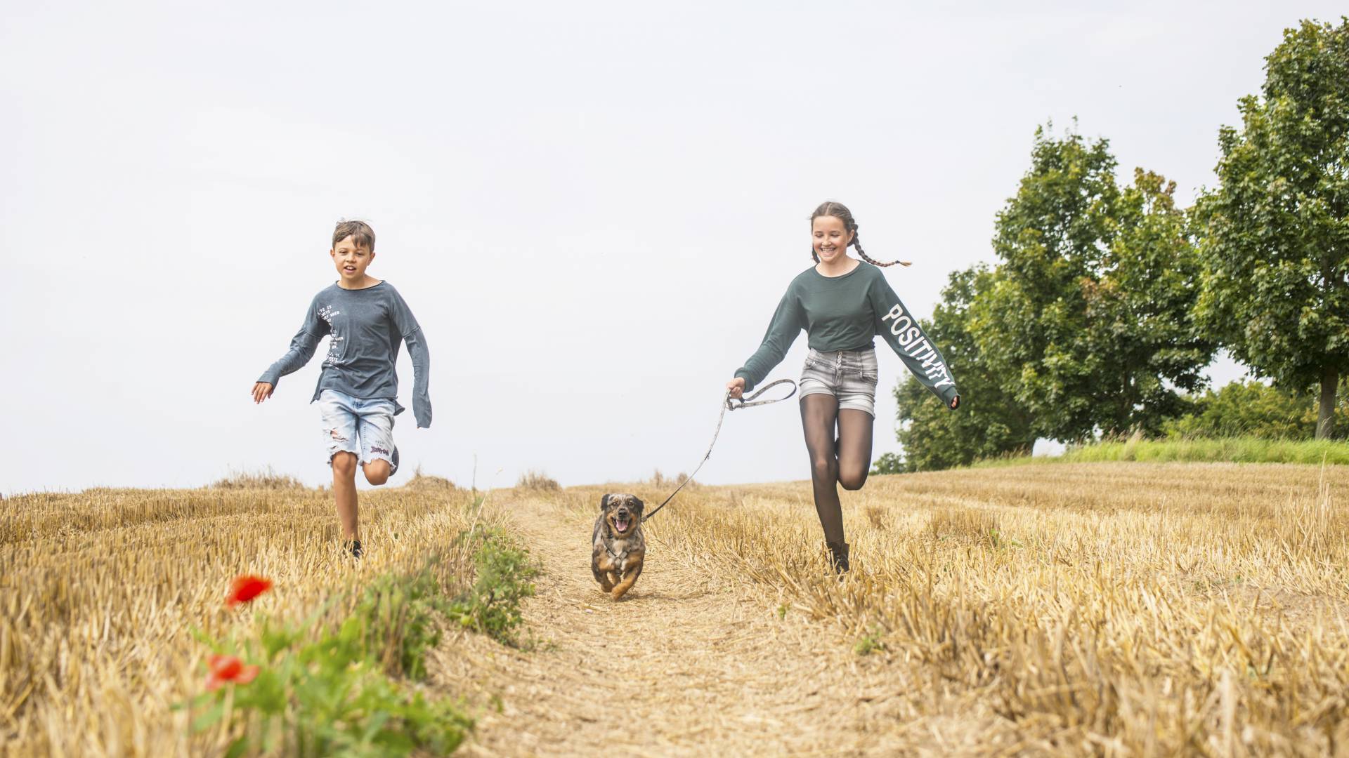 Kinder gehen mit Hund spazieren