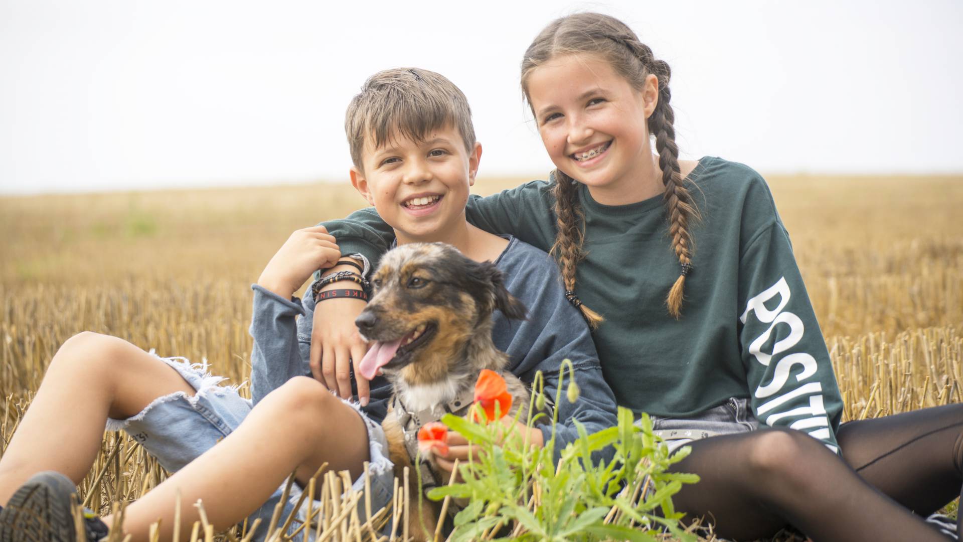 Kinder kuscheln mit Hund im Getreidefeld