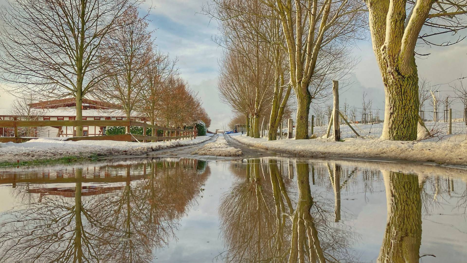 Bäume im Winter spiegeln sich im Wasser